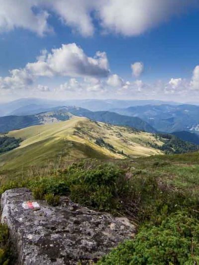 Закарпатська область