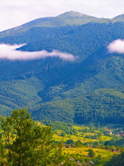 Львівська область
