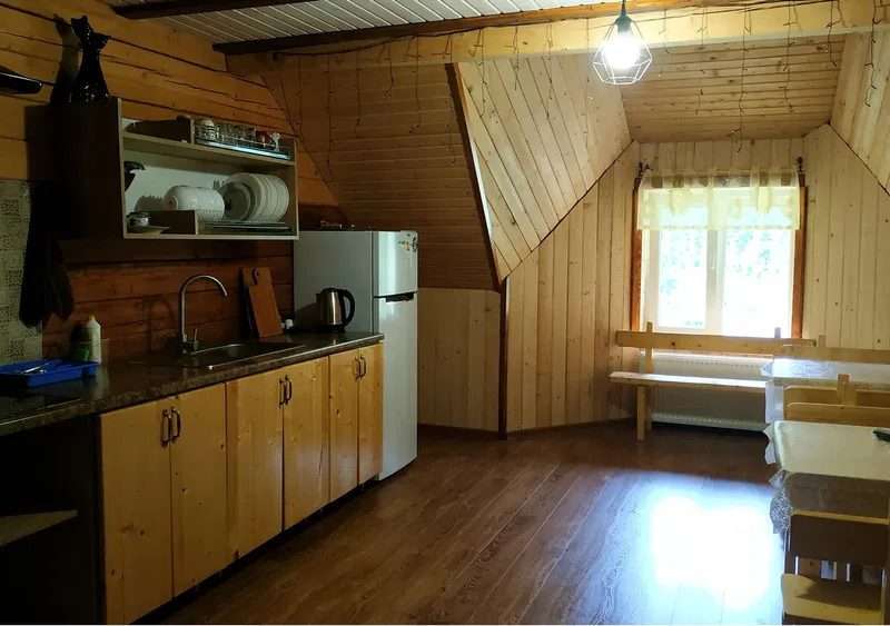 "Лісова пісня" у Мирослави